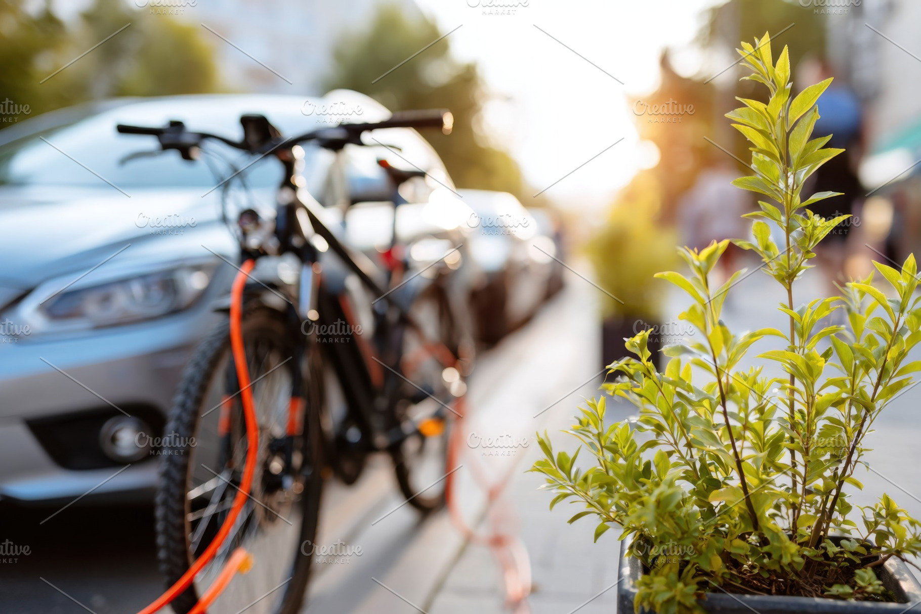 Bicycle parked on a sunny city street with greenery, a Transportation Photo by AlyaAnd
