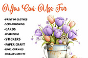 Spring Bird house Bundle Clipart, an Illustration by CreationArt (Thumbnail 2 of 7)