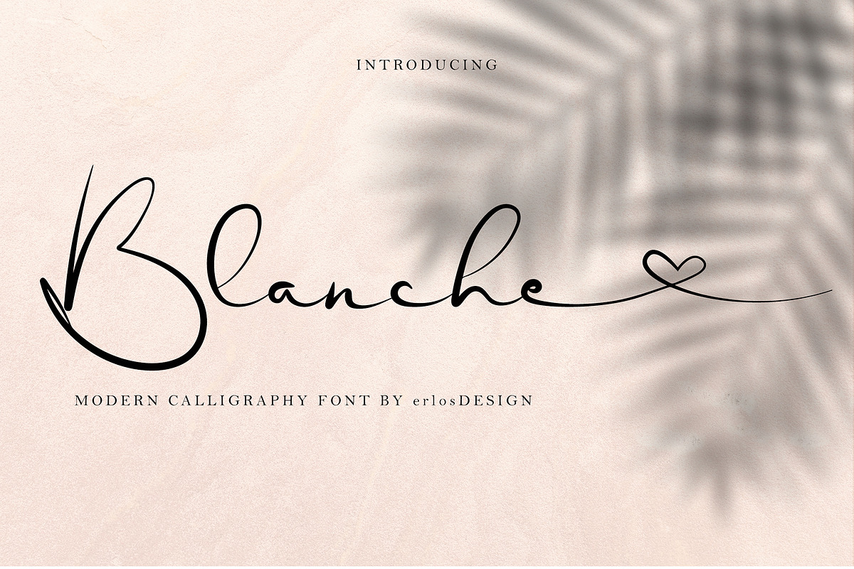 Blanche - Signature Font, a Script Font by erlosDESIGN (Photo 1 of 15)