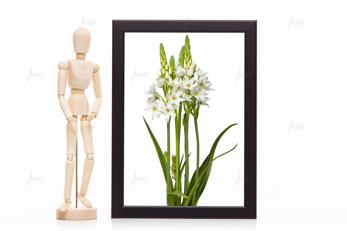 Black styled frame isolated mockup, a Print Template by JustLikeMyDesktop (Photo 1 of 3)