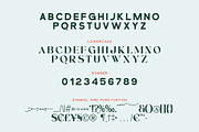 Condire Mixed – Display Font, a Serif Font by Brainwaves.Studio (Thumbnail 3 of 9)