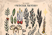 Winter Moths & Evergreen Botanicals, a Seasonal Illustration by Ink Stories (Thumbnail 4 of 15)