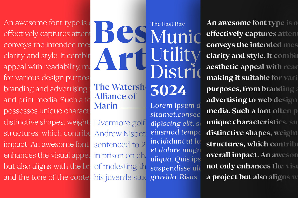 Calibra 20 Fonts | Save 40%, a Serif Font by Mulkan Nazir (Photo 17 of 17)