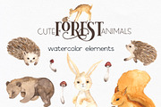 Watercolor Forest Animals, an Object Graphic by Ana-Sakuta (Thumbnail 16 of 18)