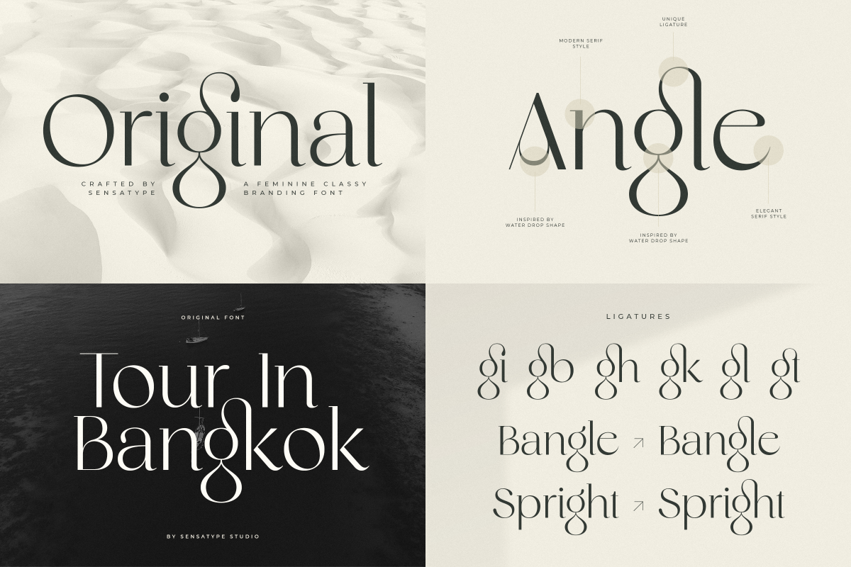 Unique Branding Modern Font Bundle, a Serif Font by Sensatype (Photo 12 of 13)