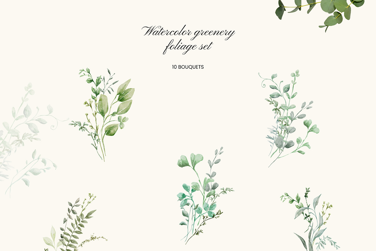 Watercolor Greenery - Foliage Set, a Decorative Illustration by Yuliia Lashevska (Photo 3 of 11)