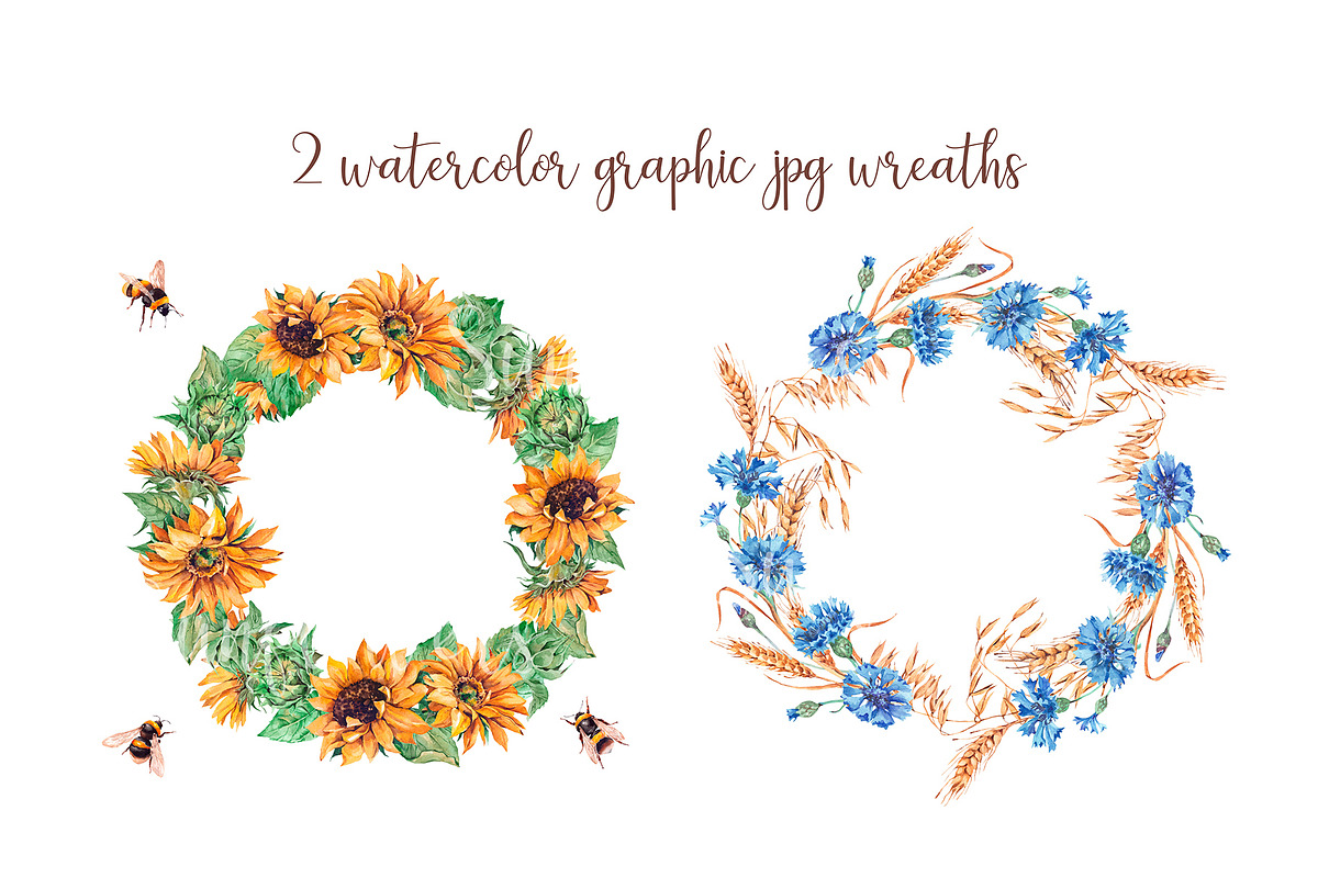 Watercolor sunflowers, cornflowers, an Illustration by Alamella (Photo 4 of 4)