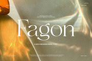 Fagon Modern Serif Font, a Serif Font by Perfectype (Thumbnail 1 of 8)