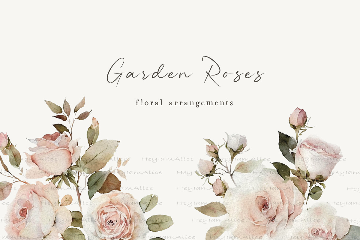 Garden Roses, a Decorative Illustration by heyiamalice (Photo 2 of 10)