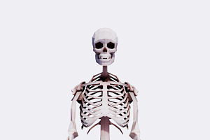 Low Poly Human Skeleton 40 Poses