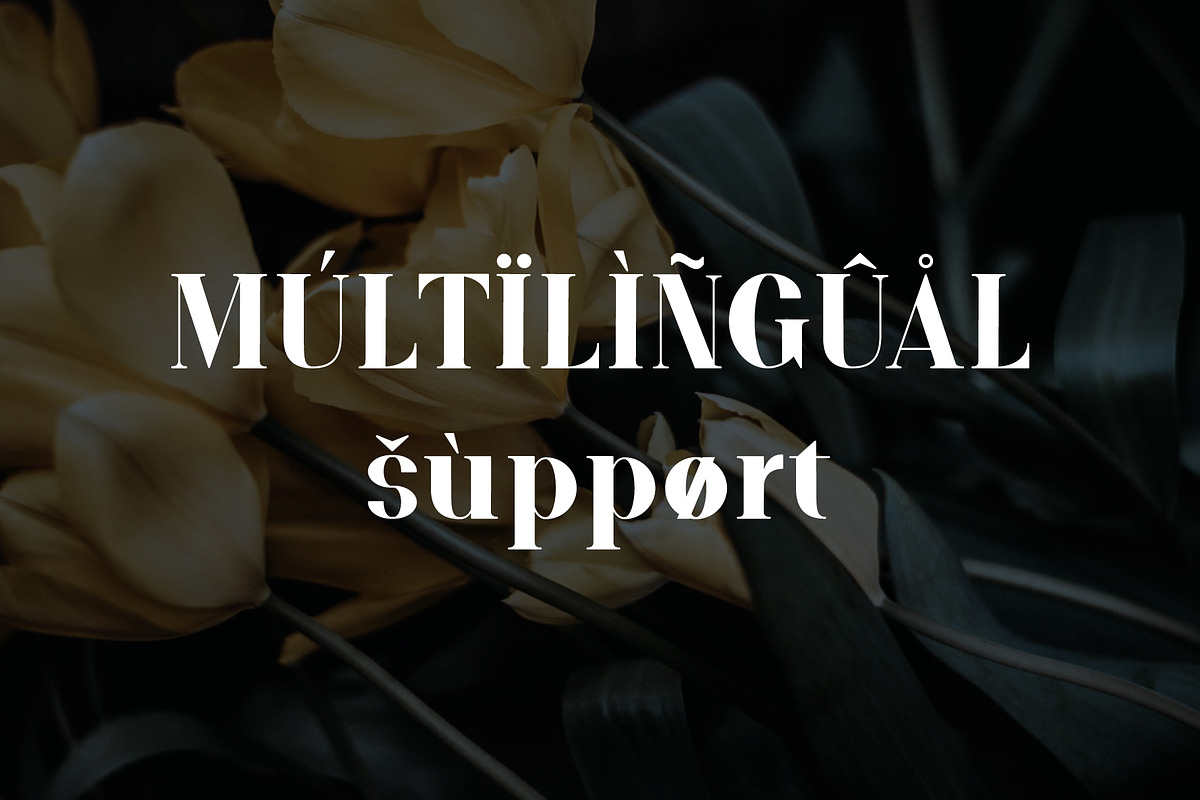 ARK Reunio - Modern Serif Font, a Serif Font by Arkara (Photo 9 of 11)
