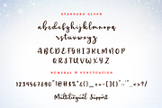 Winter Snowflake, a Script Font by Creavibes Design (Thumbnail 8 of 8)