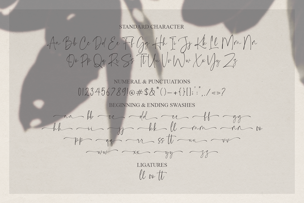 Belathine - Modern Script Font, a Script Font by MJB Letters (Photo 10 of 10)