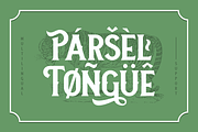 Neue Stanley, a Serif Font by Twicolabs Fontdation (Thumbnail 9 of 11)