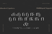 Beauté Modern Serif Font Family, a Handwritten Font by AndrewPixel (Thumbnail 11 of 12)
