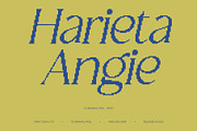 CS Granvile Pixel, a Serif Font by Craft Supply Co. (Thumbnail 3 of 8)