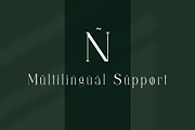 Milenial Serif Typeface, a Serif Font by Alfinart (Thumbnail 7 of 10)