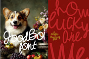 Aglio Olio Handwritten Display, a Handwritten Font by Studio Mischief (Thumbnail 6 of 12)