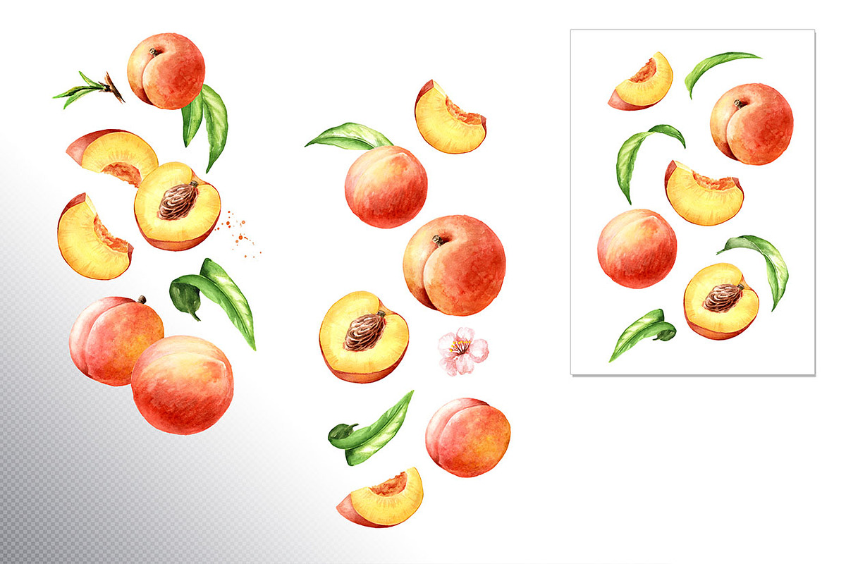 Honey Peaches. Original Watercolor, a Food Illustration by Daria Ustiugova (Photo 8 of 21)