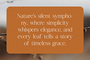 Realife Moment Modern Serif Font, a Serif Font by Letterena Studios (Thumbnail 8 of 15)