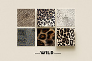 WILD — animal textures & fur, a Texture Graphic by Lana Elanor (Thumbnail 3 of 11)
