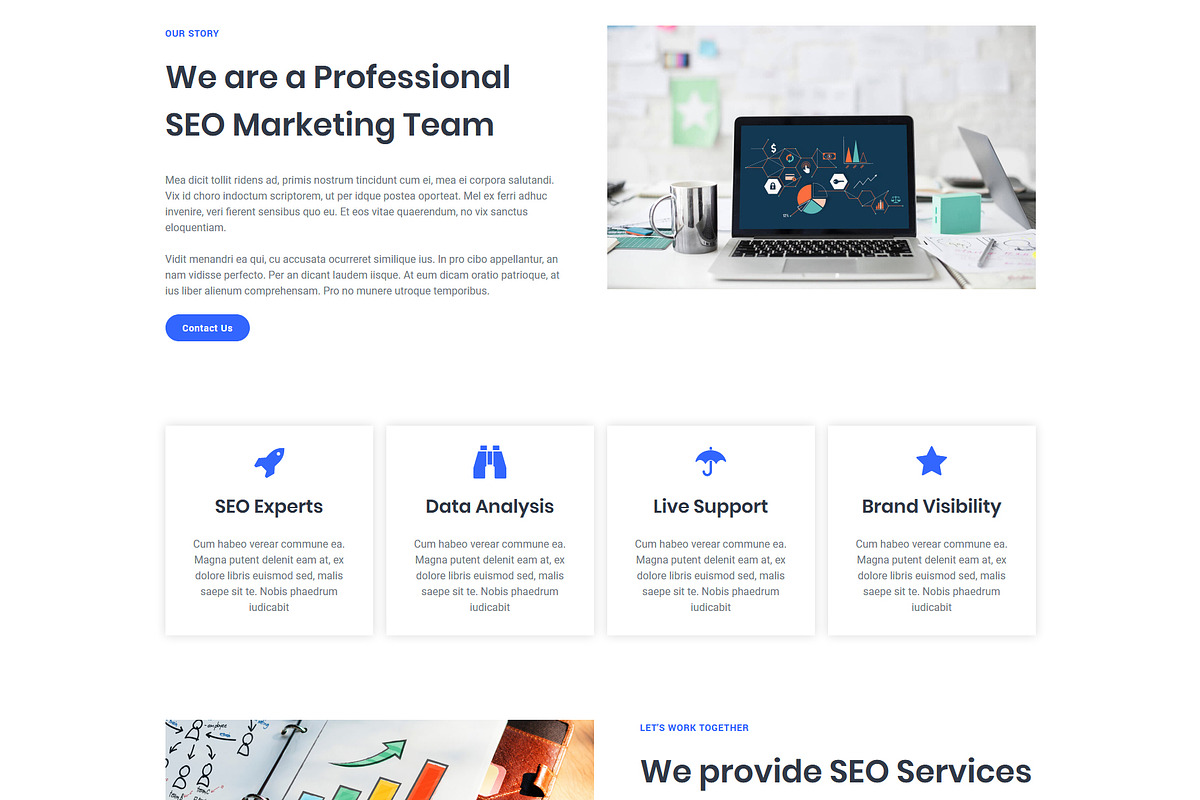 SEOLand - SEO Marketing Agency Theme, a WordPress Template by MatchThemes (Photo 3 of 3)