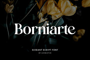 Borniarte Elegant Serif Font, a Serif Font by UICreative (Thumbnail 1 of 13)