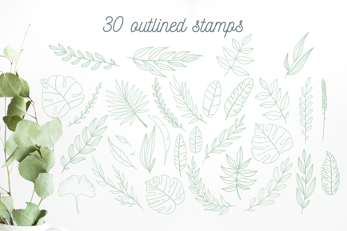 Stamp Collection | Procreate brushes, a Brush Add-On by Wander Designs (Photo 6 of 8)