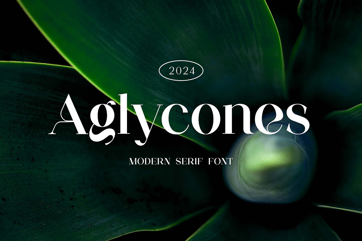 Aglycones Elegant Serif Display Font, a Serif Font by UICreative (Photo 1 of 13)
