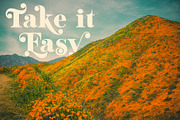 Mighty Aphrodite // A Classy Serif, a Serif Font by Megs Lang (Thumbnail 20 of 22)