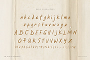 The Scarlet Pimpernel Handwritten, a Handwritten Font by Perplexitics (Thumbnail 9 of 10)