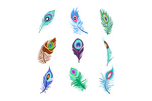 peacock feather set cartoon vector, an Object Illustration by pikepicture
