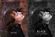 Black Winged Bird Photoshop Action, an Action Add-On by FilterAtelier (Thumbnail 2 of 7)