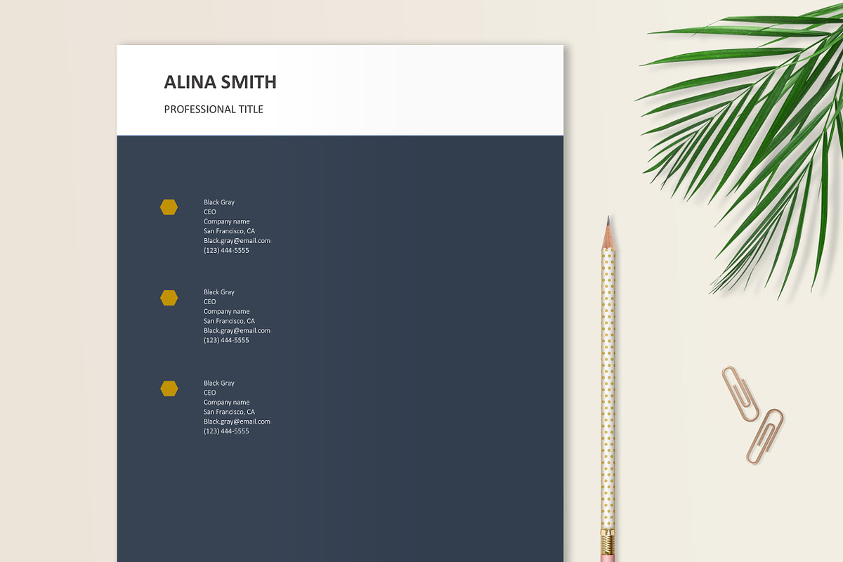 Digital Marketing Resume Template, a Resume Template by Stanin Studio (Photo 6 of 10)