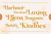 Ancient Zurich - Elegant Serif Logo, a Serif Font by Dirtyline Studio (Thumbnail 16 of 22)