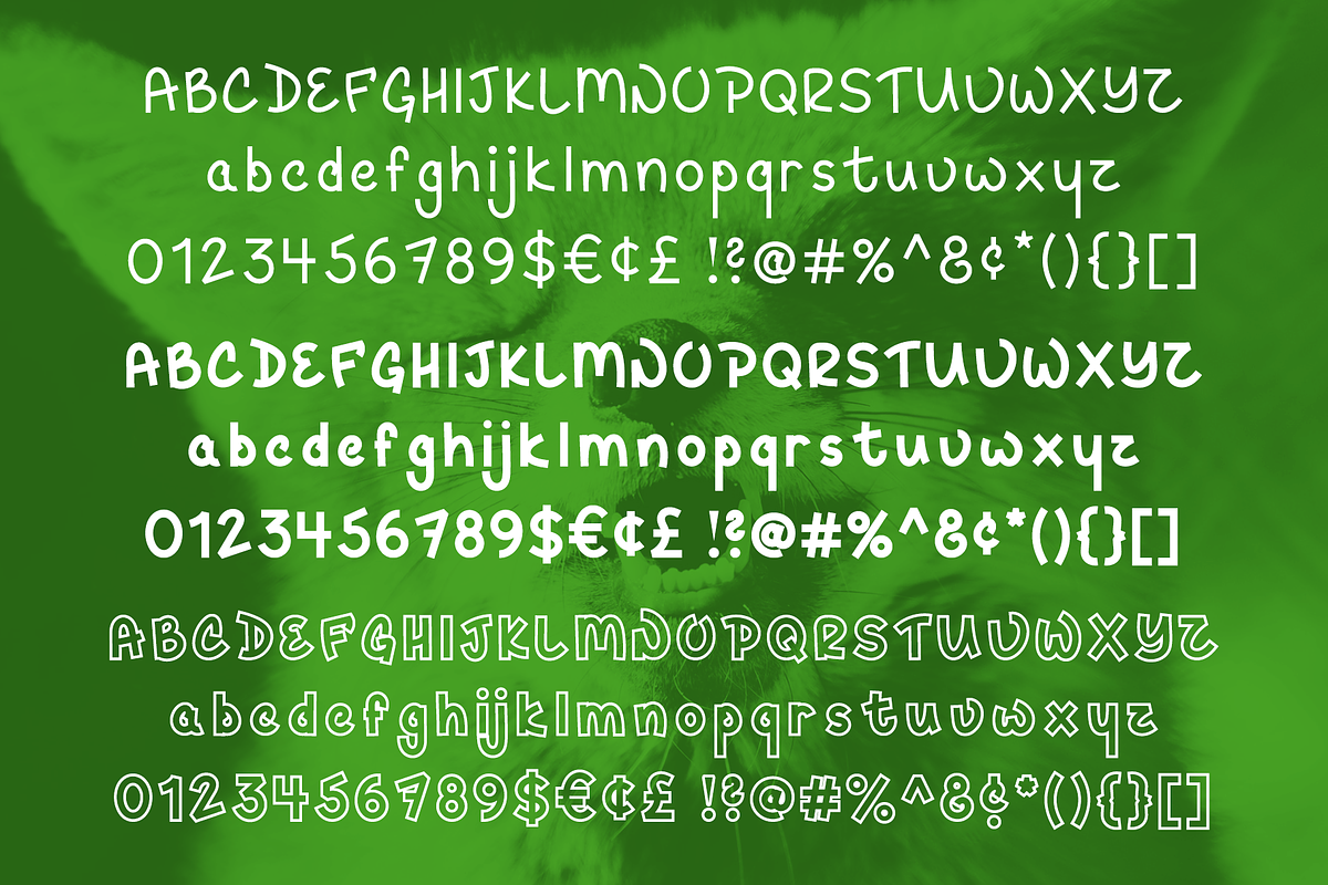 Hey Fox Font Trio + BONUS preview 2