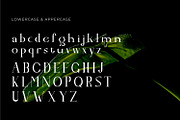 Leubrik - Serif Typeface Font, a Serif Font by Rishsketch (Thumbnail 11 of 15)