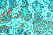 20 turquoise textures 64 Megapixel, a Texture Graphic by tkdesign (Thumbnail 11 of 20)