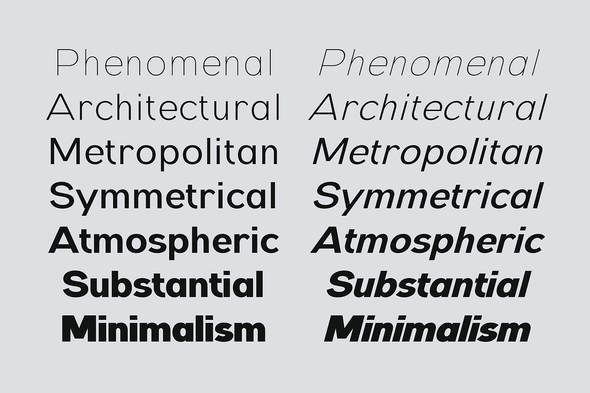 Monetic - Modern Sans Serif Family, a Sans Serif Font by Indotype Foundry (Photo 2 of 10)