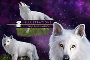 White Dire Wolf Illustration, an Illustration by Kandace Lalo Designs (Thumbnail 1 of 5)