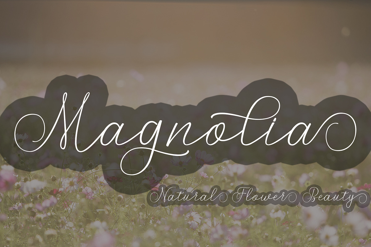Nathale Script, a Script Font by PollemSt (Photo 2 of 6)