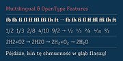 Vivala Slab, a Slab Serif Font by VivalaType (Thumbnail 5 of 9)