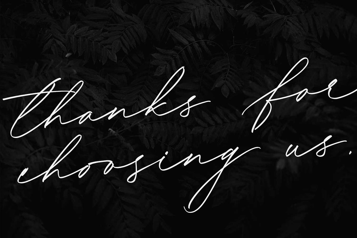 Bonadia - Modern Script Font, a Script Font by Cititype (Photo 14 of 14)