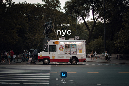 LR presets NYC