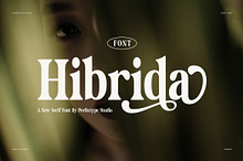 Hibrida Bold Serif Font