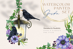 Garden Birds Watercolor Painted Set