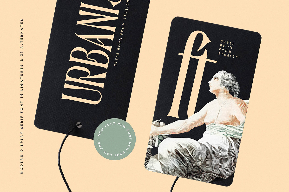 Garugis Modern Display Serif, a Serif Font by timelesstype.co (Photo 16 of 20)