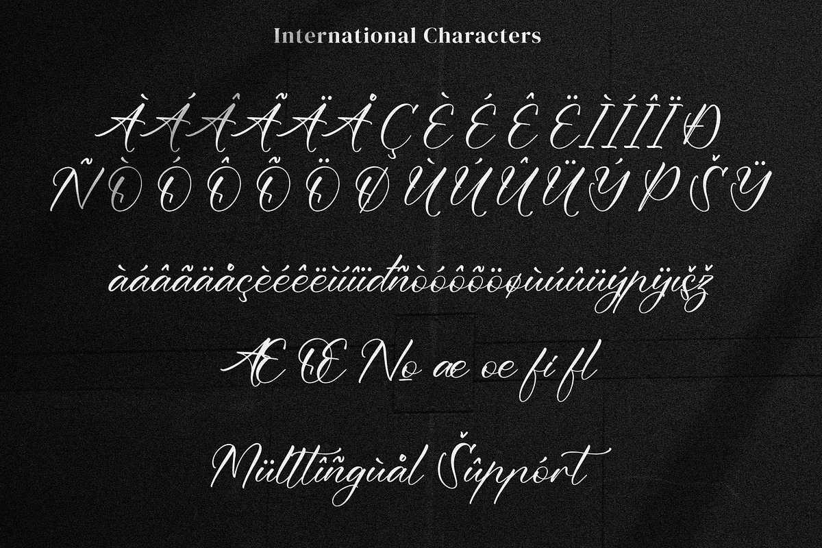 Bhineka Xuloeng, a Handwritten Font by Integritype Studio (Photo 12 of 15)