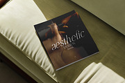 Roman Editorial + Aesthetic Script, a Font by AndrewPixelType (Thumbnail 4 of 11)