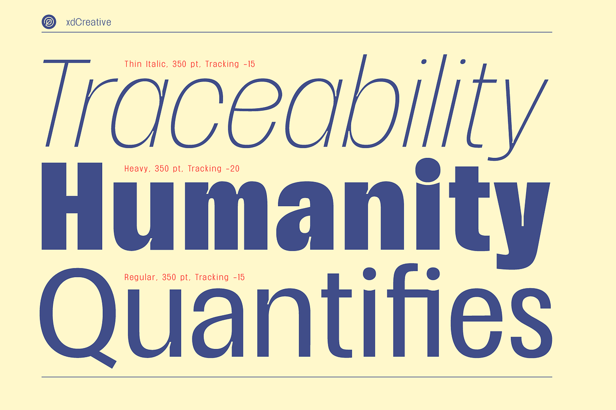 Nabire 1943 Sans Family, a Sans Serif Font by xdCreative (Photo 7 of 13)